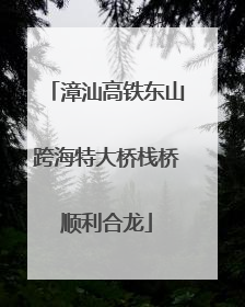 漳汕高铁东山跨海特大桥栈桥顺利合龙