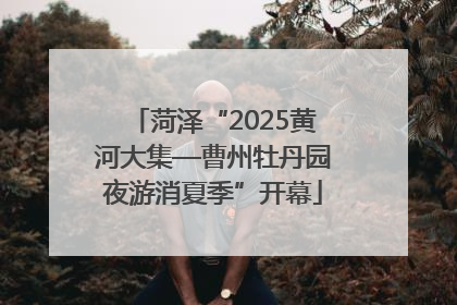 菏泽“2025黄河大集—曹州牡丹园夜游消夏季”开幕
