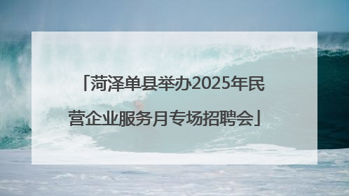 菏泽单县举办2025年民营企业服务月专场招聘会