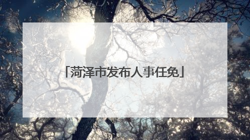 菏泽市发布人事任免