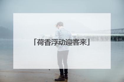 荷香浮动迎客来