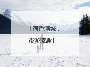 荷香满城，夜游添趣