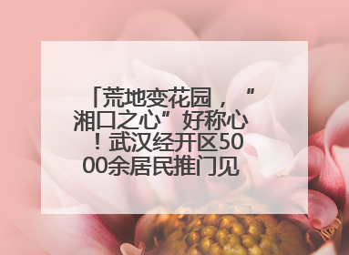 荒地变花园，“湘口之心”好称心！武汉经开区5000余居民推门见绿满眼风景