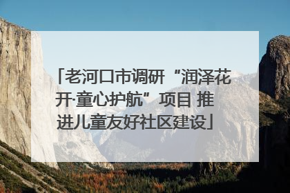 老河口市调研“润泽花开·童心护航”项目 推进儿童友好社区建设