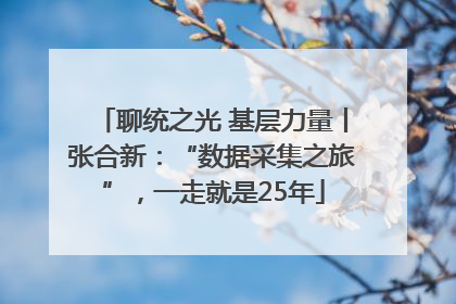 聊统之光 基层力量丨张合新：“数据采集之旅”，一走就是25年