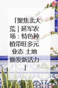 聚焦北大荒｜延军农场：特色种植带旺多元业态 土地焕发新活力