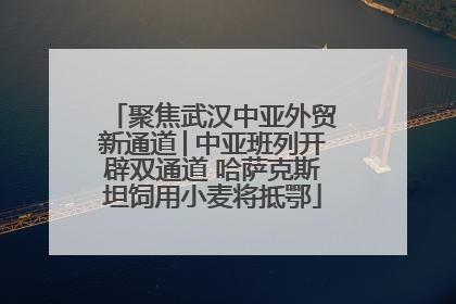 聚焦武汉中亚外贸新通道│中亚班列开辟双通道 哈萨克斯坦饲用小麦将抵鄂
