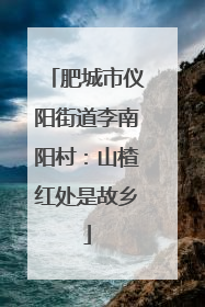 肥城市仪阳街道李南阳村：山楂红处是故乡