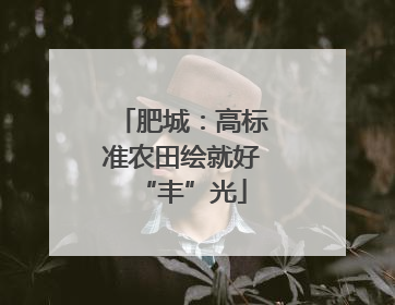 肥城：高标准农田绘就好“丰”光