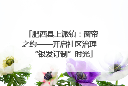 肥西县上派镇：窗帘之约——开启社区治理“银发订制”时光