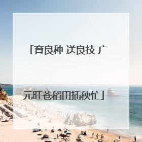 育良种 送良技 广元旺苍稻田插秧忙