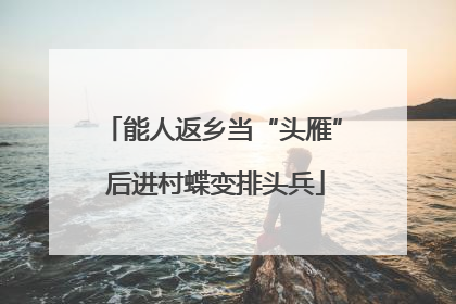 能人返乡当“头雁” 后进村蝶变排头兵