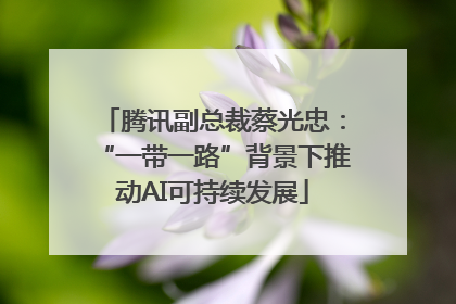 腾讯副总裁蔡光忠：“一带一路”背景下推动AI可持续发展