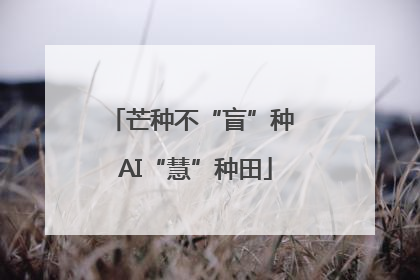芒种不“盲”种 AI“慧”种田