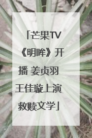 芒果TV《明眸》开播 姜贞羽王佳璇上演救赎文学