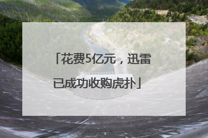 花费5亿元，迅雷已成功收购虎扑
