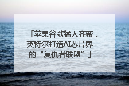 苹果谷歌猛人齐聚，英特尔打造AI芯片界的“复仇者联盟”