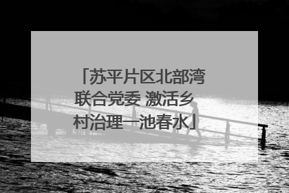 苏平片区北部湾联合党委 激活乡村治理一池春水