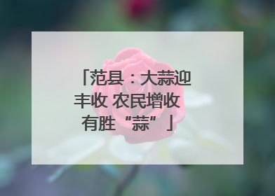 范县：大蒜迎丰收 农民增收有胜“蒜”