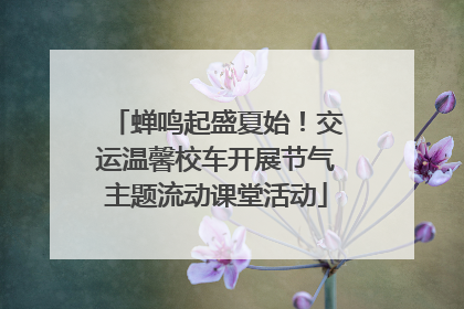 蝉鸣起盛夏始！交运温馨校车开展节气主题流动课堂活动