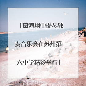 葛海翔中提琴独奏音乐会在苏州第六中学精彩举行