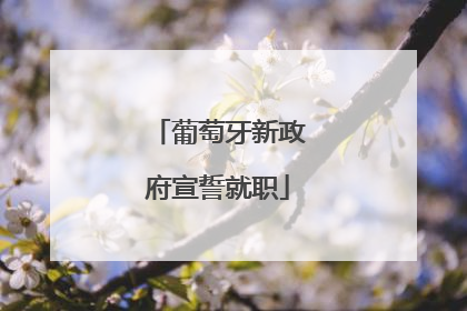 葡萄牙新政府宣誓就职