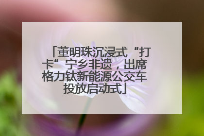 董明珠沉浸式“打卡”宁乡非遗，出席格力钛新能源公交车投放启动式
