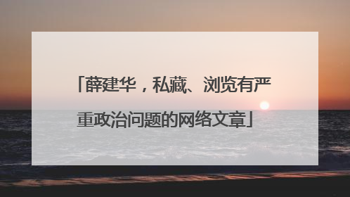 薛建华，私藏、浏览有严重政治问题的网络文章