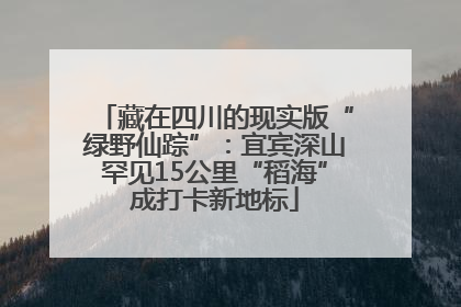 藏在四川的现实版“绿野仙踪”：宜宾深山罕见15公里“稻海”成打卡新地标