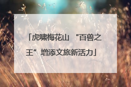 虎啸梅花山 “百兽之王”增添文旅新活力