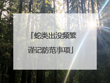 蛇类出没频繁 谨记防范事项