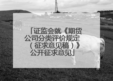 证监会就《期货公司分类评价规定（征求意见稿）》公开征求意见