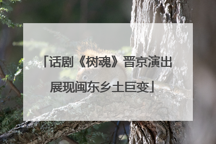 话剧《树魂》晋京演出 展现闽东乡土巨变