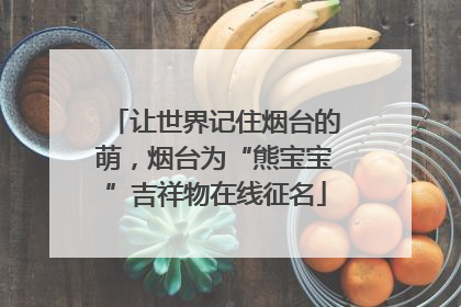 让世界记住烟台的萌，烟台为“熊宝宝”吉祥物在线征名