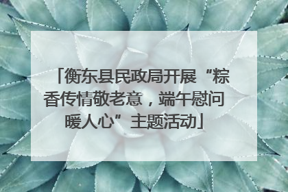 衡东县民政局开展“粽香传情敬老意，端午慰问暖人心”主题活动