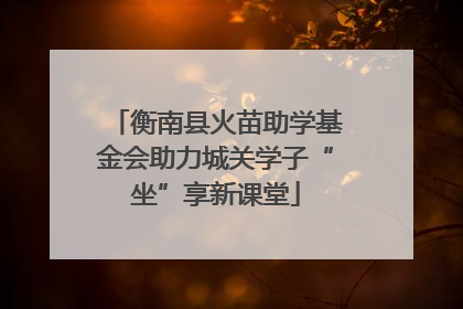 衡南县火苗助学基金会助力城关学子“坐”享新课堂