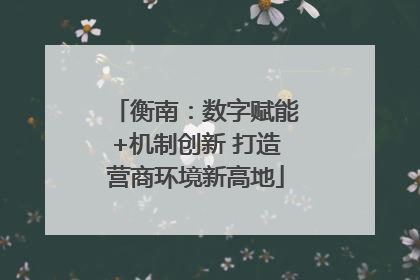 衡南：数字赋能+机制创新 打造营商环境新高地