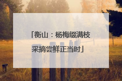 衡山：杨梅缀满枝 采摘尝鲜正当时