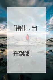 褚伟，晋升副部