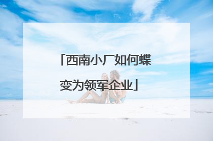 西南小厂如何蝶变为领军企业