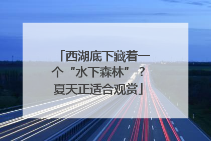 西湖底下藏着一个“水下森林”？夏天正适合观赏