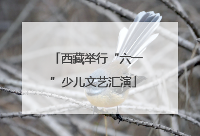 西藏举行“六一”少儿文艺汇演