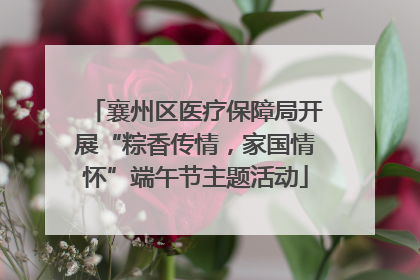 襄州区医疗保障局开展“粽香传情，家国情怀”端午节主题活动