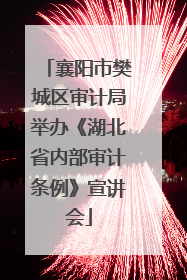 襄阳市樊城区审计局举办《湖北省内部审计条例》宣讲会