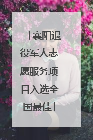 襄阳退役军人志愿服务项目入选全国最佳