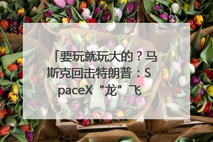 要玩就玩大的？马斯克回击特朗普：SpaceX“龙”飞船将立即退役！