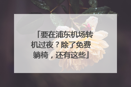 要在浦东机场转机过夜？除了免费躺椅，还有这些