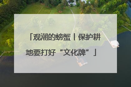 观潮的螃蟹丨保护耕地要打好“文化牌”