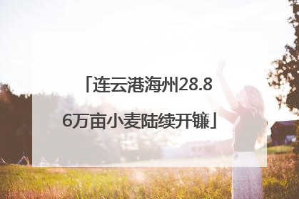 连云港海州28.86万亩小麦陆续开镰