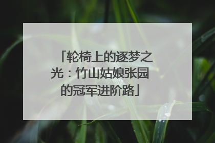 轮椅上的逐梦之光：竹山姑娘张园的冠军进阶路